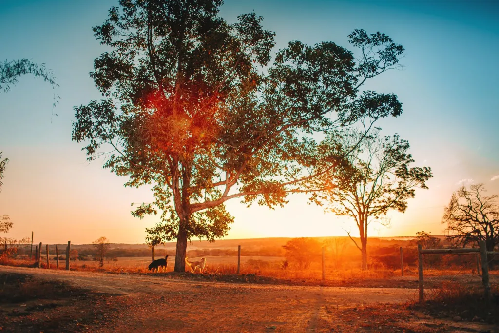 Practical Care for Rural Properties